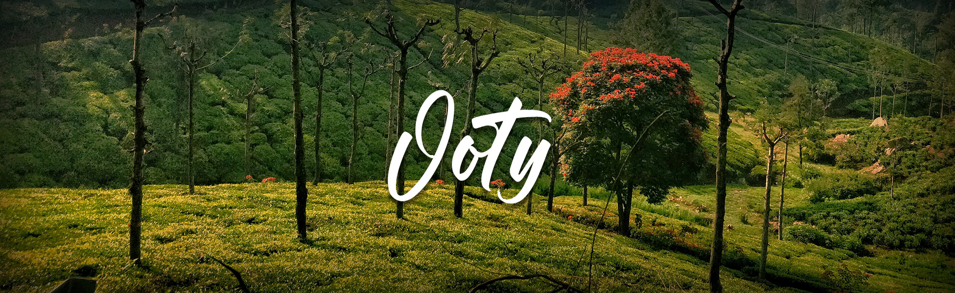 Ooty